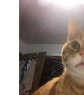 act: